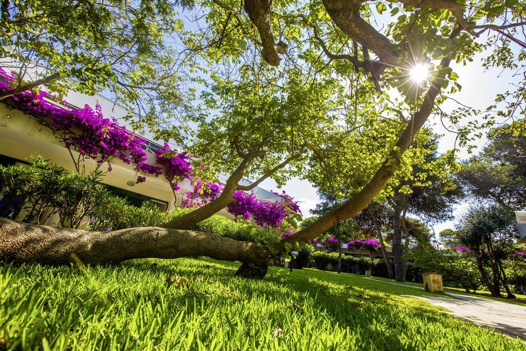 ROBINSON CLUB APULIA